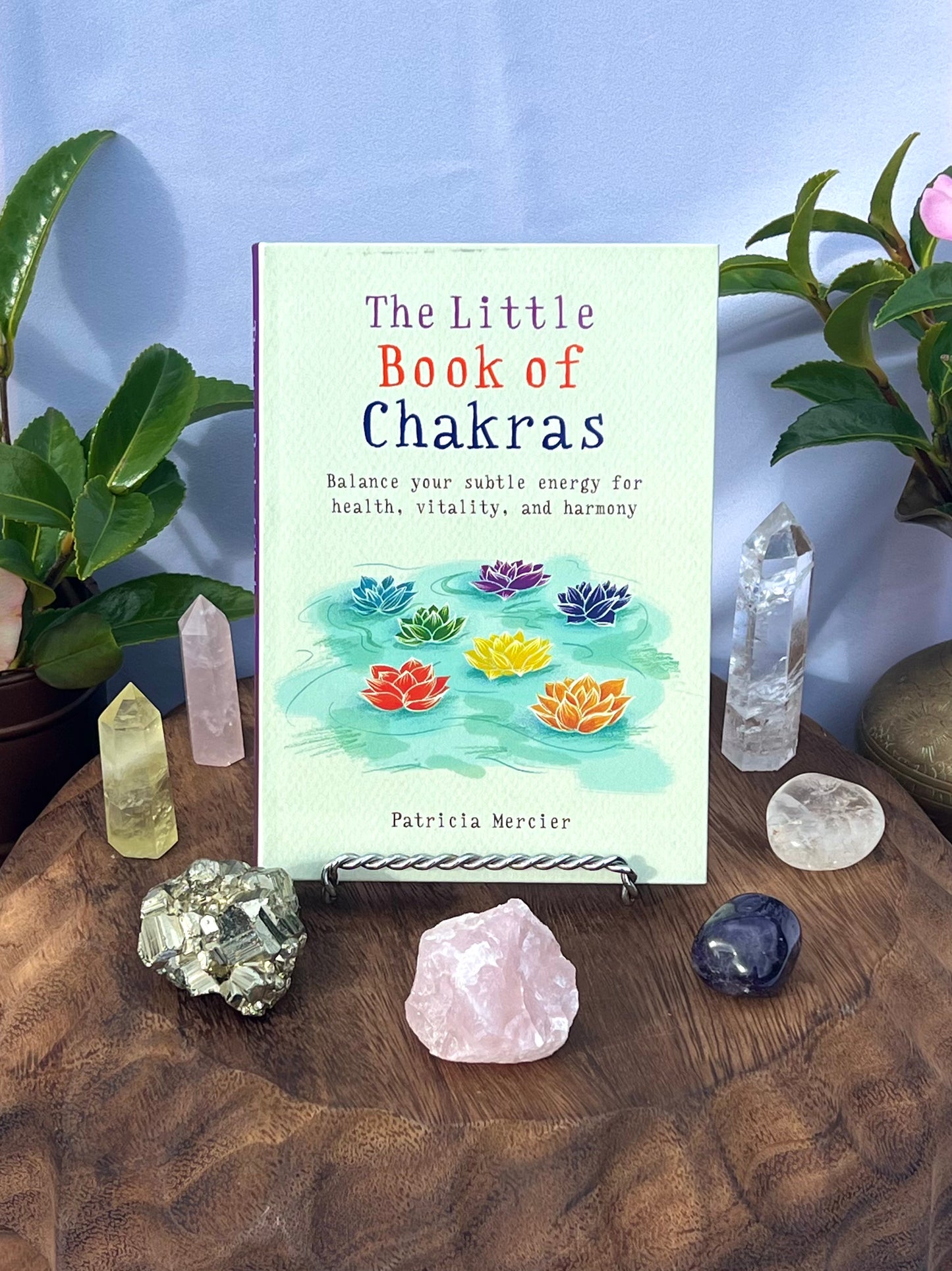 The Little Book of Chakras