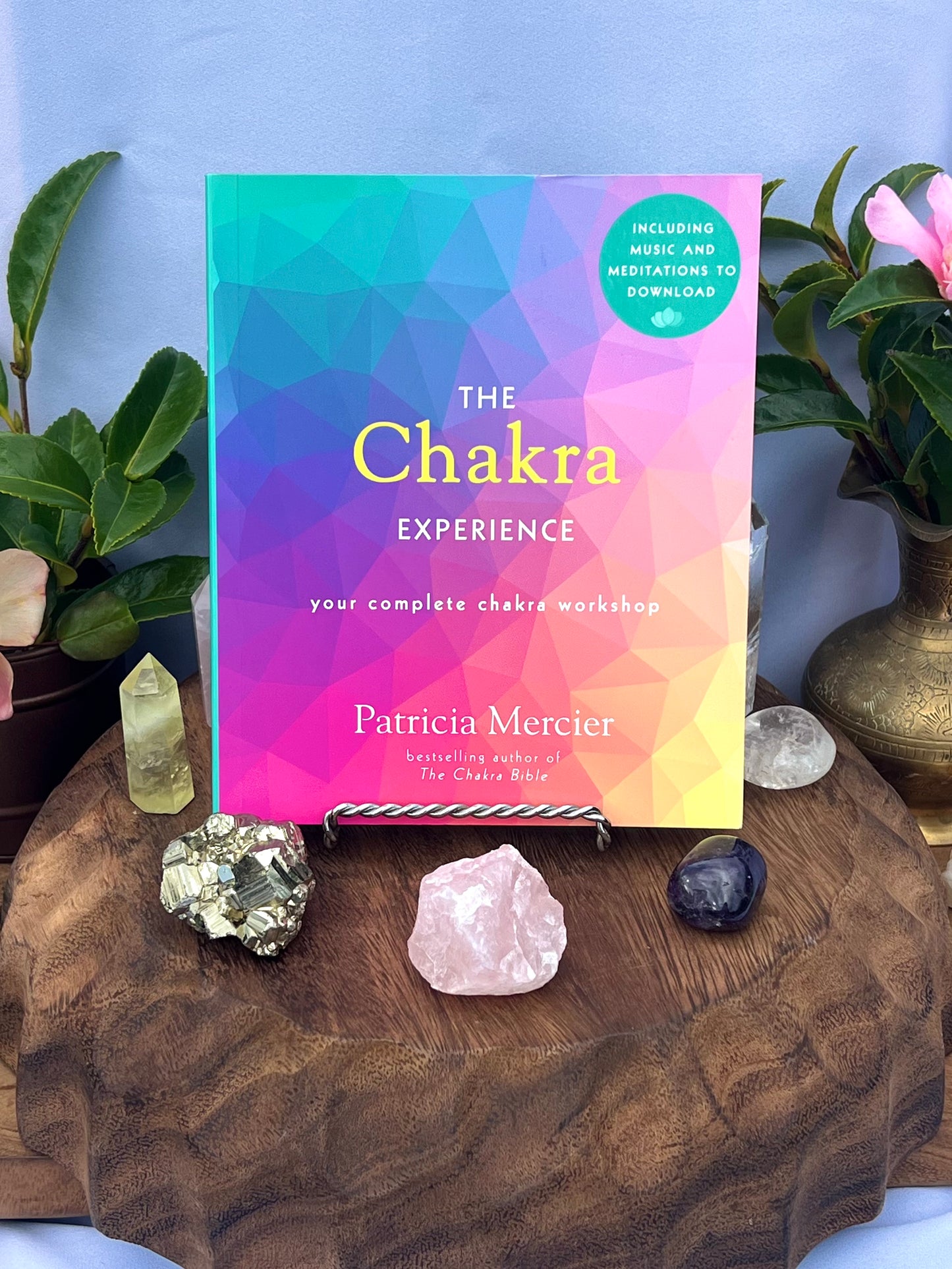 The Chakra Experience